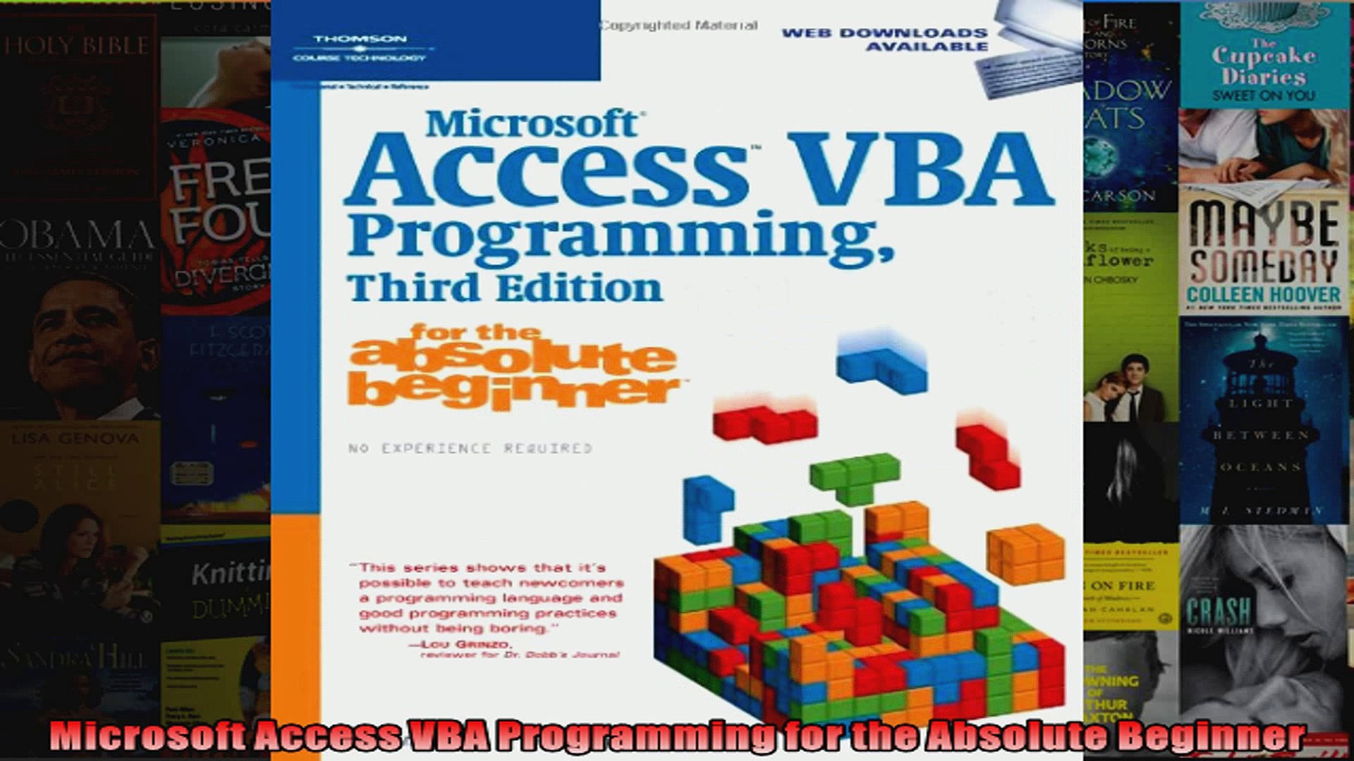access vba programming pdf